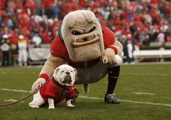Uga and Hairy Dawg. Photo by Mike Zarrilli/Getty Images
