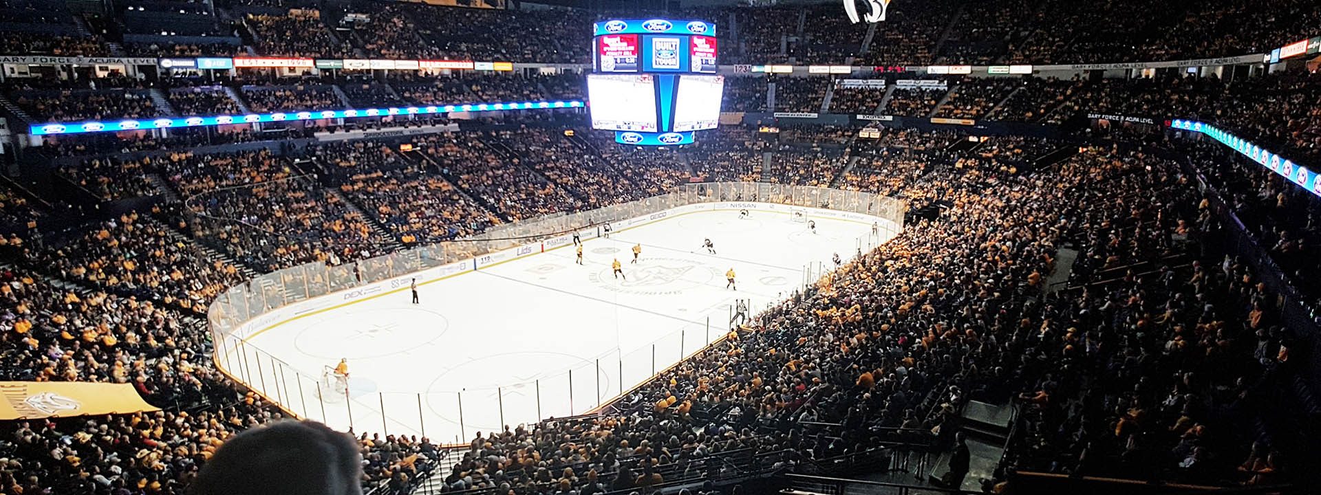 guide to your first hockey game