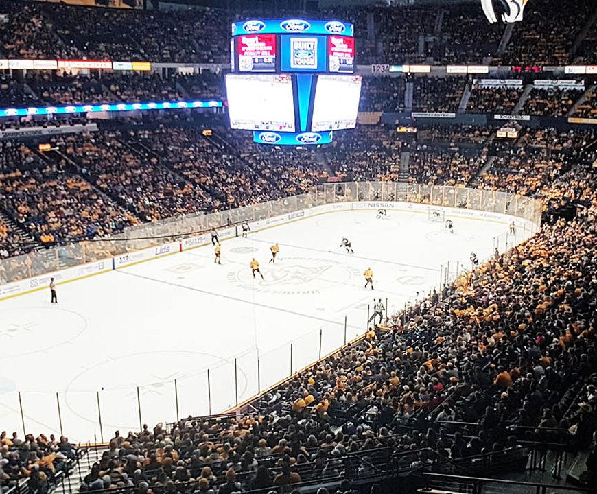 guide to your first hockey game