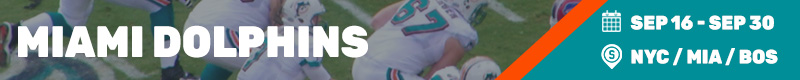 miami dolphins BEST TIME TO VISIT
