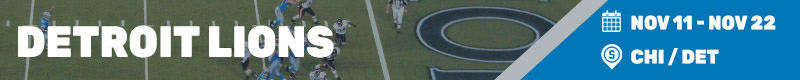 detroit lions BEST TIME TO VISIT1