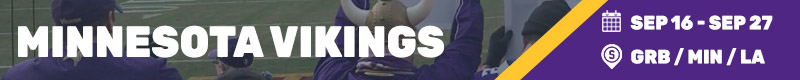 minnesota vikings BEST TIME TO VISIT1